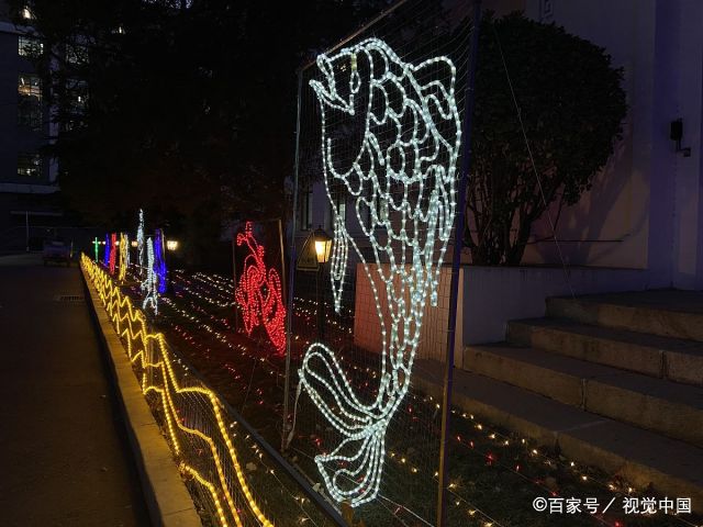 2022年双鱼座全年运势详解  双鱼座运势2022年7月运势详解
