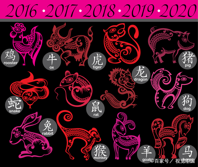 2022年运程车财富船免费算命  2022年运程车