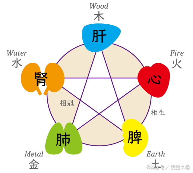 金木水火土对应着身体五行肺肝肾心脾  五行对应的五脏六腑分别是哪五脏哪六腑