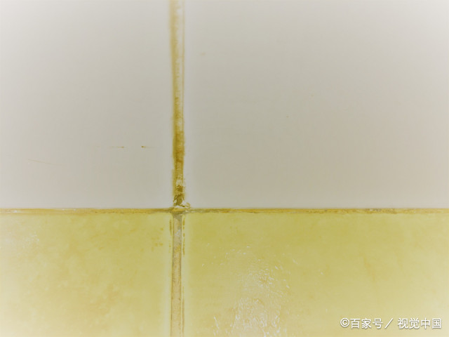 学点什么手艺能做一辈子  学什么手艺能干一辈子