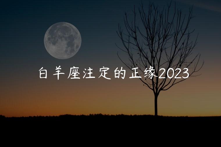白羊座注定的正缘2023，2023白羊座的正缘是谁