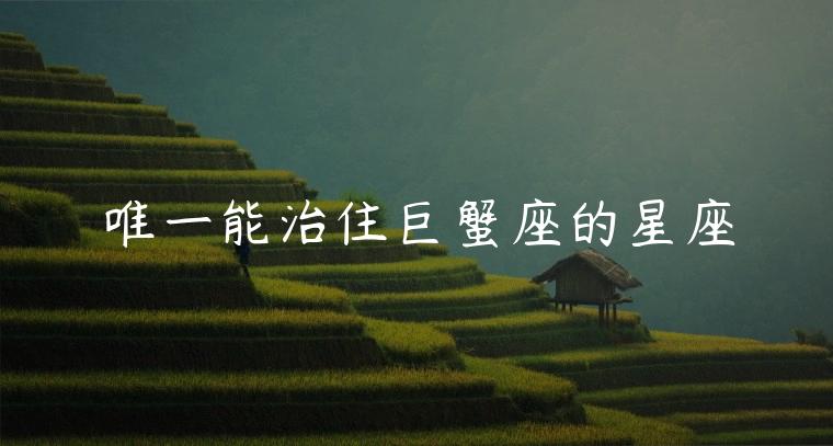 唯一能治住巨蟹座的星座，唯一能治得了巨蟹座的星座