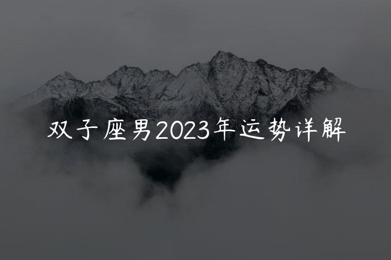 双子座男2023年运势详解，属马的双子座2023年的全年运势