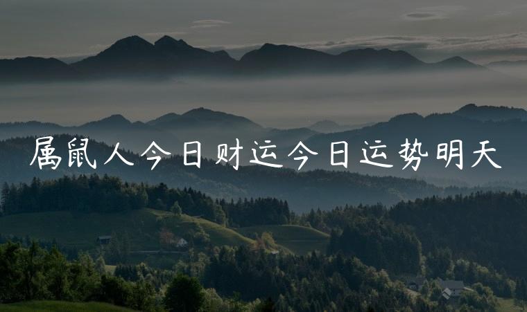 属鼠人今日财运今日运势明天，属鼠今日财运和明天的财运如何