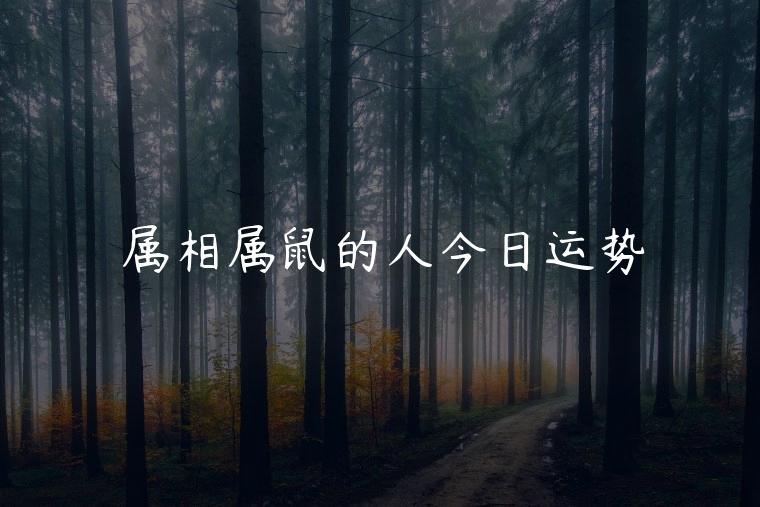 属相属鼠的人今日运势，生肖属鼠的今日运势