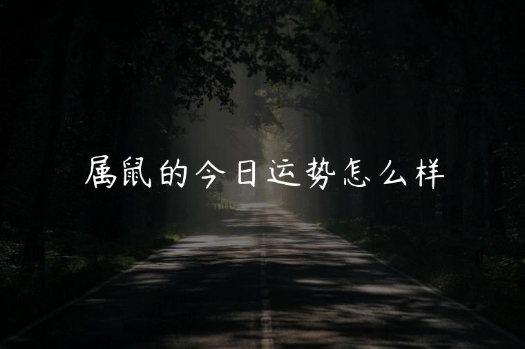 属鼠的今日运势怎么样，兔年属鼠的运势怎么样