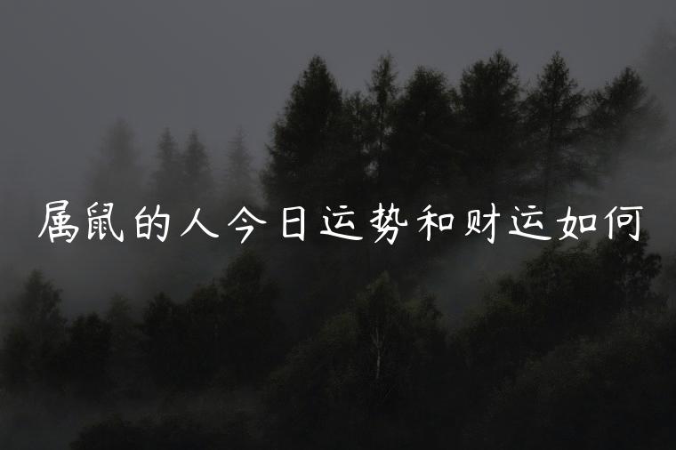 属鼠的人今日运势和财运如何，属鼠的人今日运势和财运