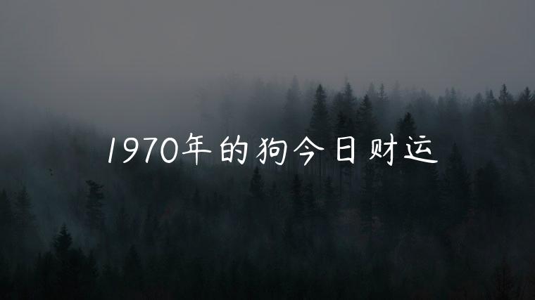 1970年的狗今日财运，1970年属狗今日财运如何