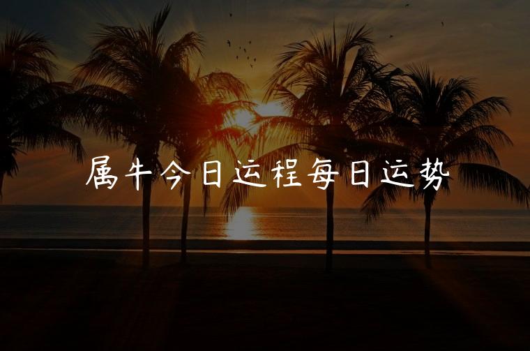属牛今日运程每日运势，属牛今日运势每日运程