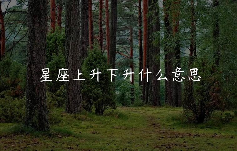 星座上升下升什么意思，星座上升下降什么意思呀