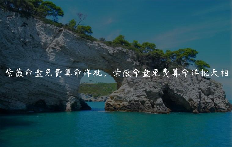 紫薇命盘免费算命详批，紫薇命盘免费算命详批天相