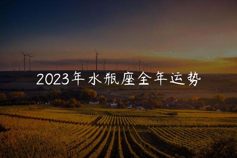2023年水瓶座全年运势，2023年水瓶座全年运势详解