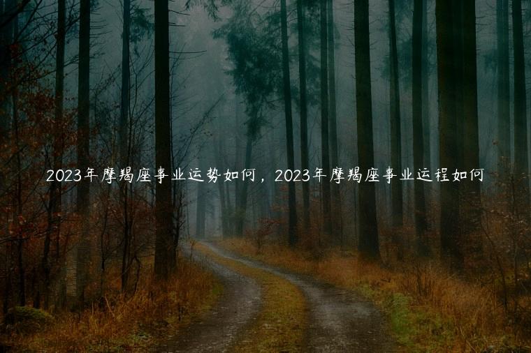 2023年摩羯座事业运势如何，2023年摩羯座事业运程如何