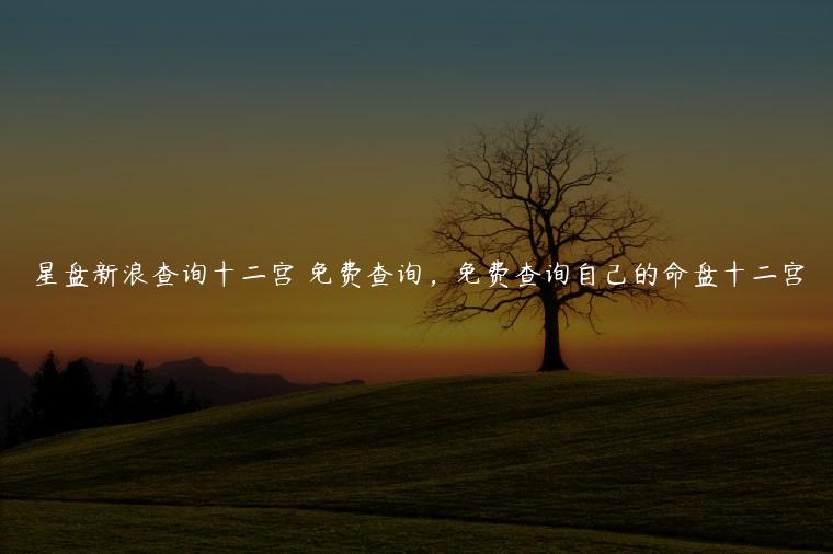 星盘新浪查询十二宫 免费查询，免费查询自己的命盘十二宫