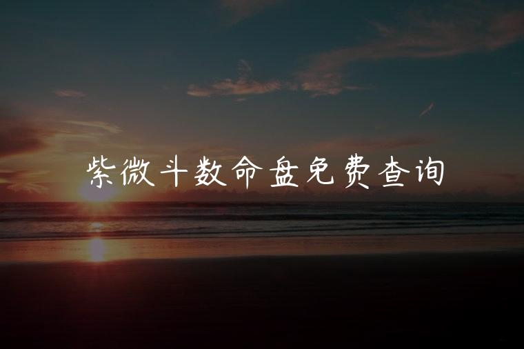 紫微斗数命盘免费查询，紫微斗数命宫对照表大全图解