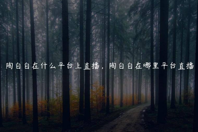 陶白白在什么平台上直播，陶白白在哪里平台直播