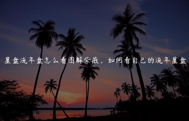 星盘流年盘怎么看图解紫薇，如何看自己的流年星盘