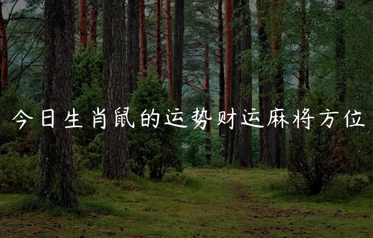 今日生肖鼠的运势财运麻将方位，生肖鼠今日的财运方位