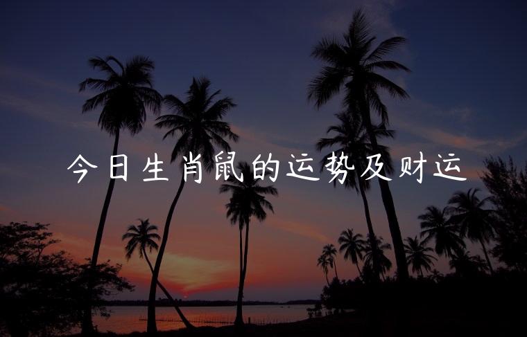今日生肖鼠的运势及财运，2023年生肖鼠的三月运势和财运