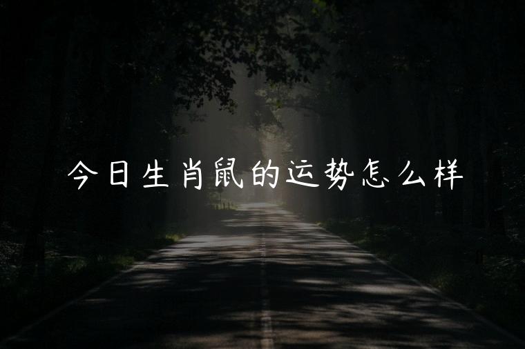 今日生肖鼠的运势怎么样，生肖鼠的今日运势怎么样