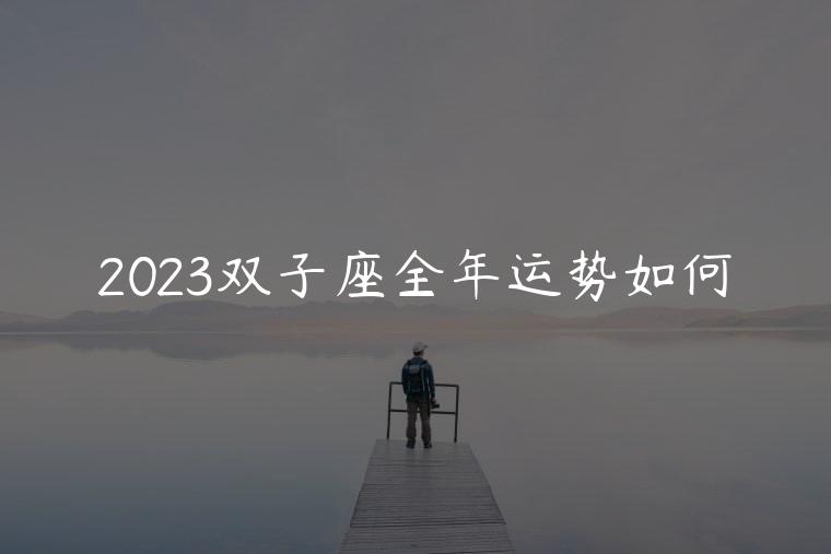 2023双子座全年运势如何，2023双子座全年运势如何看