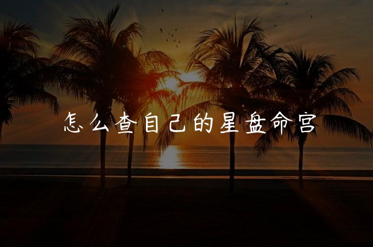 怎么查自己的星盘命宫，怎么查自己的星盘八宫