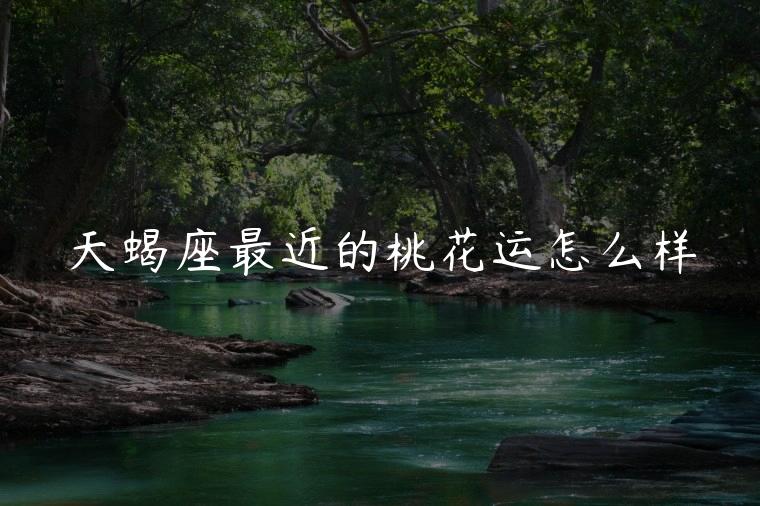 自动草稿，自动草稿本