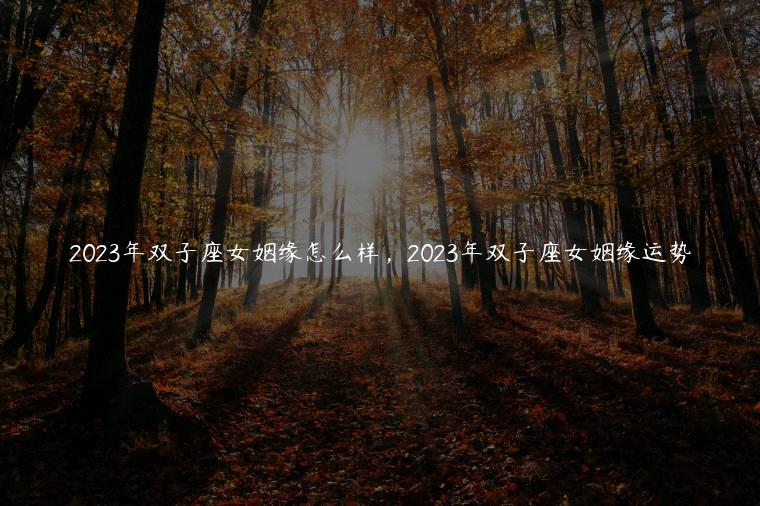 2023年双子座女姻缘怎么样，2023年双子座女姻缘运势