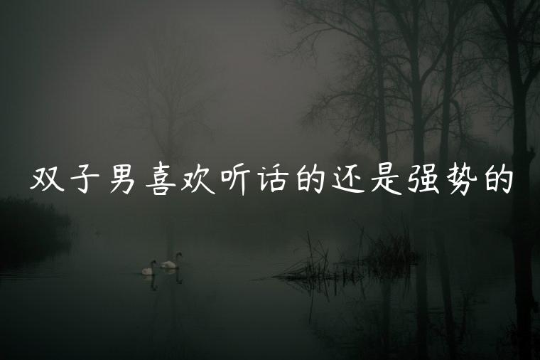 双子男喜欢听话的还是强势的，双子男喜欢听话的还是不听话的