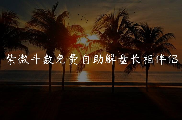 紫微斗数免费自助解盘长相伴侣，紫微斗数看自己长相看哪个宫