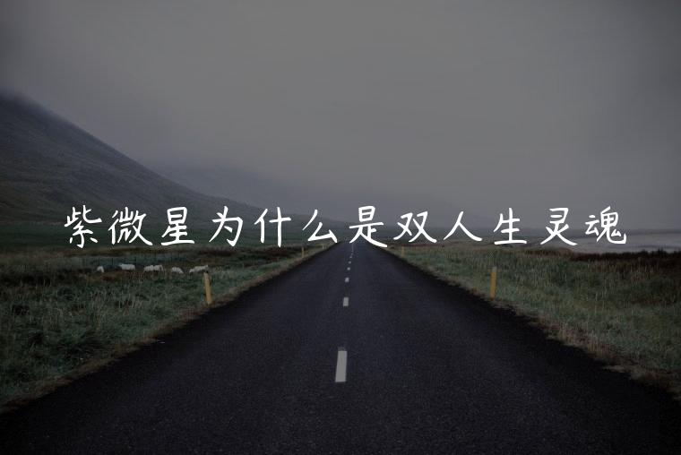 紫微星为什么是双人生灵魂，紫微星为什么是普通人