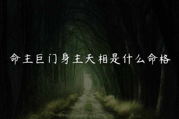 命主巨门身主天相是什么命格，命主巨门身主天相什么意思