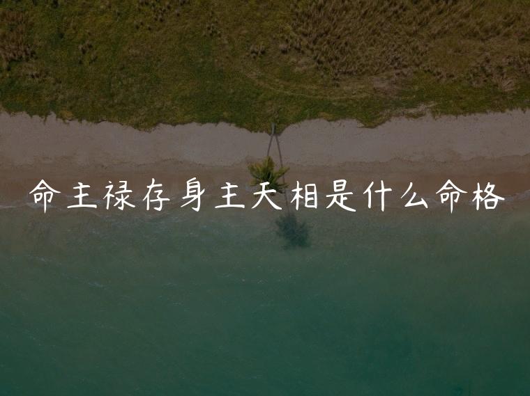 命主禄存身主天相是什么命格，命主禄存身主天相是什么意思