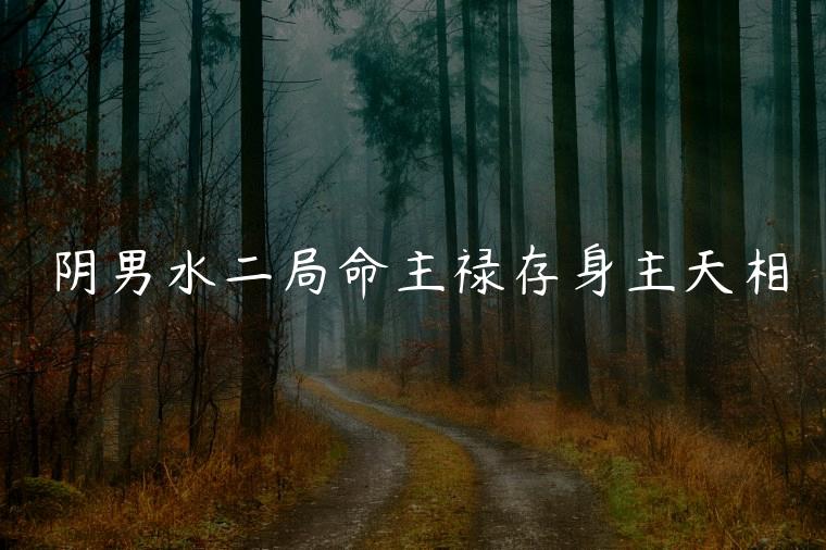 阴男水二局命主禄存身主天相，男命主禄存身主天相什么意思