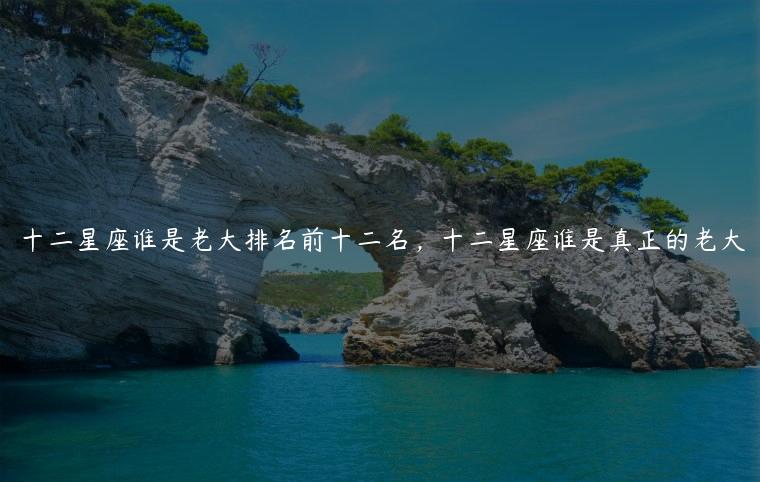 十二星座谁是老大排名前十二名，十二星座谁是真正的老大