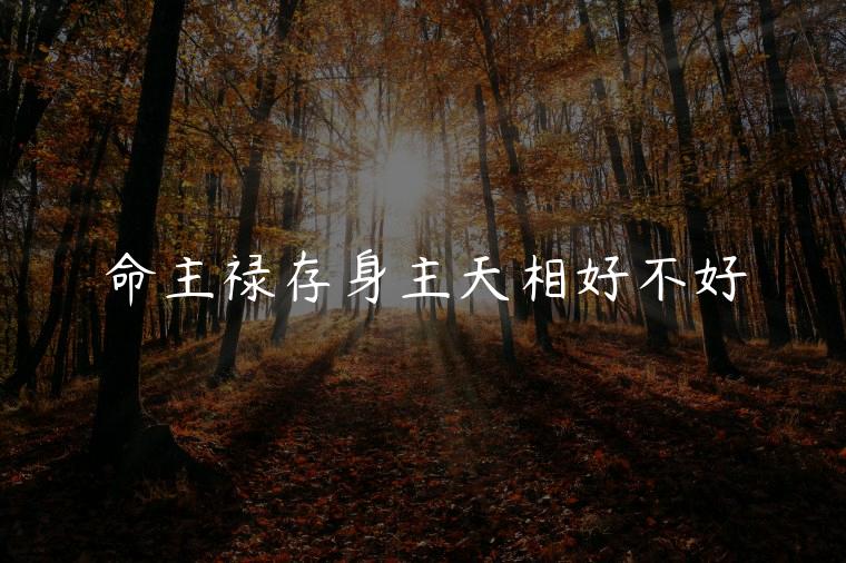 命主禄存身主天相好不好，命主禄存身主天相女人怎样