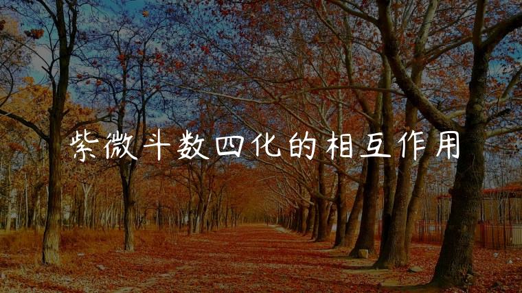 紫微斗数四化的相互作用，紫微斗数里的格局作用