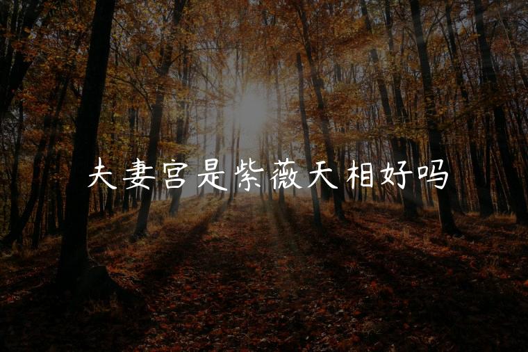 夫妻宫是紫薇天相好吗，来因宫夫妻宫紫薇天相