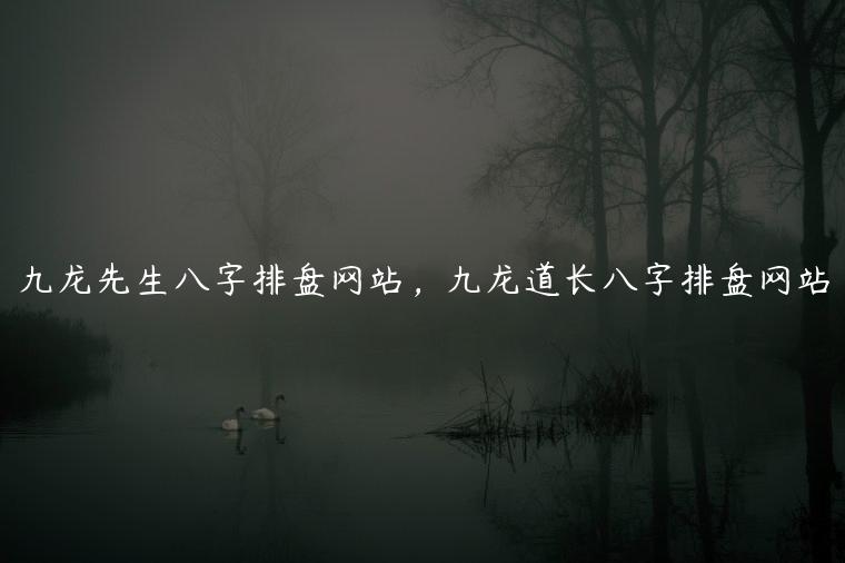 九龙先生八字排盘网站，九龙道长八字排盘网站