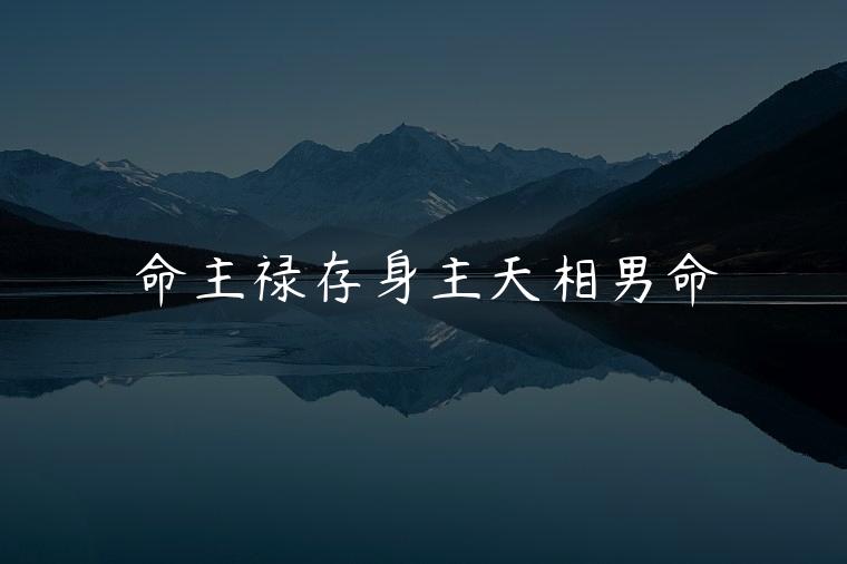 命主禄存身主天相男命，命主禄存身主天相的男命