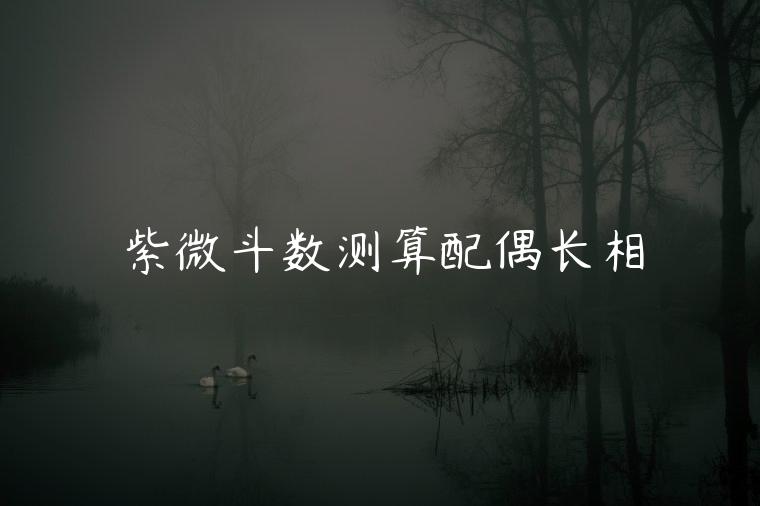 紫微斗数测算配偶长相，紫微斗数测算配偶长相甜美