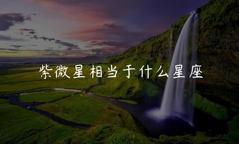 紫微星相当于什么星座，紫微星相当于星座里的什么