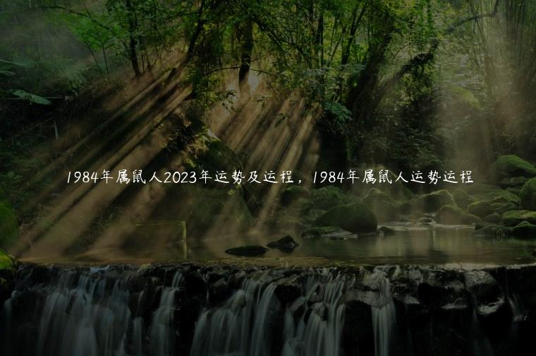 1984年属鼠人2023年运势及运程，1984年属鼠人运势运程