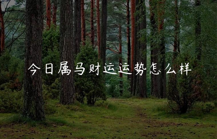 今日属马财运运势怎么样，今日属马财运运势怎么样呢