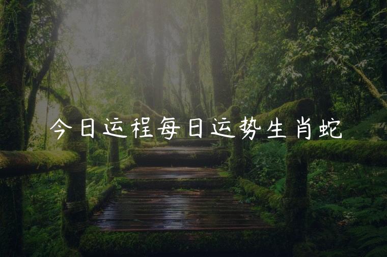今日运程每日运势生肖蛇，今日运程每日运势生肖