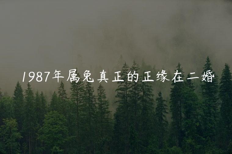 1987年属兔真正的正缘在二婚，1987年属兔真正的正缘