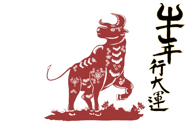73年属牛女2023年的运势和婚姻 1973年属牛人2023年全年运势详解