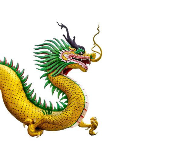 属龙的往年多大了2023岁数表，哪年出生的？