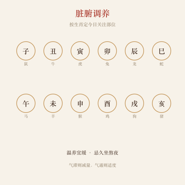 脏腑调养示意图