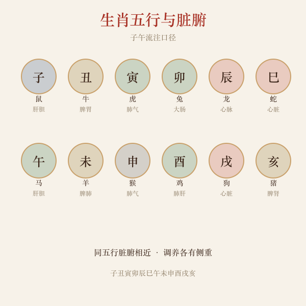 十二生肖五行与对应脏腑对照图